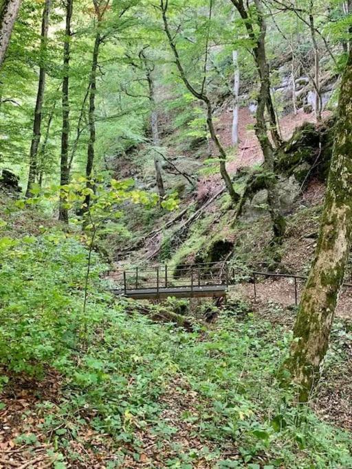 Ferienwohnung Albliebe Messstetten Luaran gambar