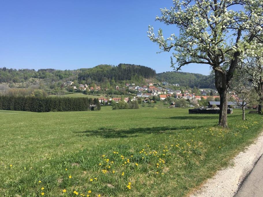 Ferienwohnung Albliebe Messstetten Luaran gambar