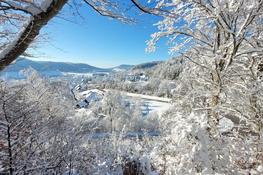 Ferienwohnung Albliebe Messstetten Luaran gambar